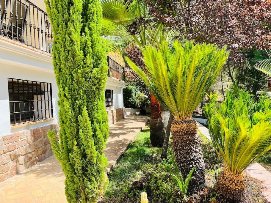 Villa Aljaral, Espectacular,Piscina,Chimenea, Climatizacion, Wifi Córdoba Exterior foto